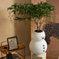 Wild Works x Super Bonsai Ding Dong Flower Pot Medieval Floor Decoration Ornament Christmas Gift Snowman Plant Bonsai